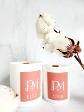 Load image into Gallery viewer, Laundry on a very Sunny Day