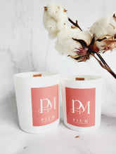 Load image into Gallery viewer, Laundry on a very Sunny Day